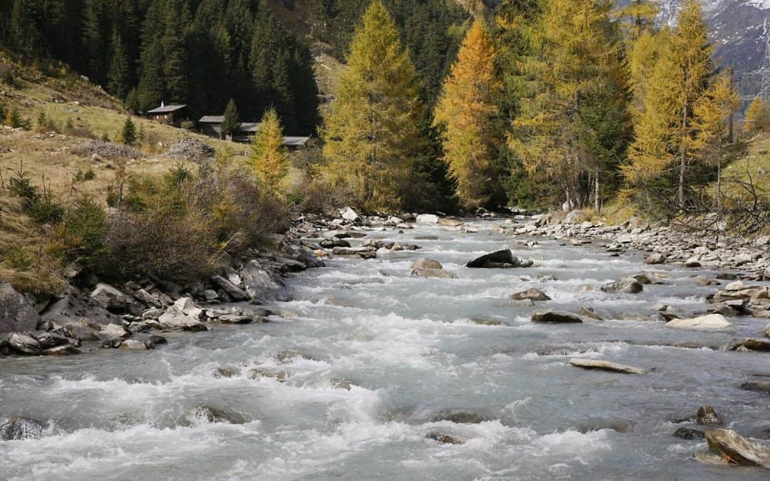 Klimakrise erfordert mehr Ambition im Wasserschutz. Drei-Punkte Plan für künftige Bundesregierung