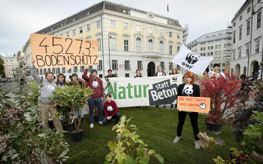 WWF-Aktion: Wiese und Bäume statt Beton!
