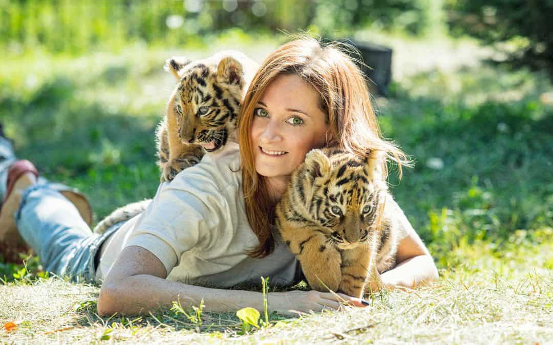 Tiger King: 3 Gründe warum Tigerzucht kein Artenschutz ist
