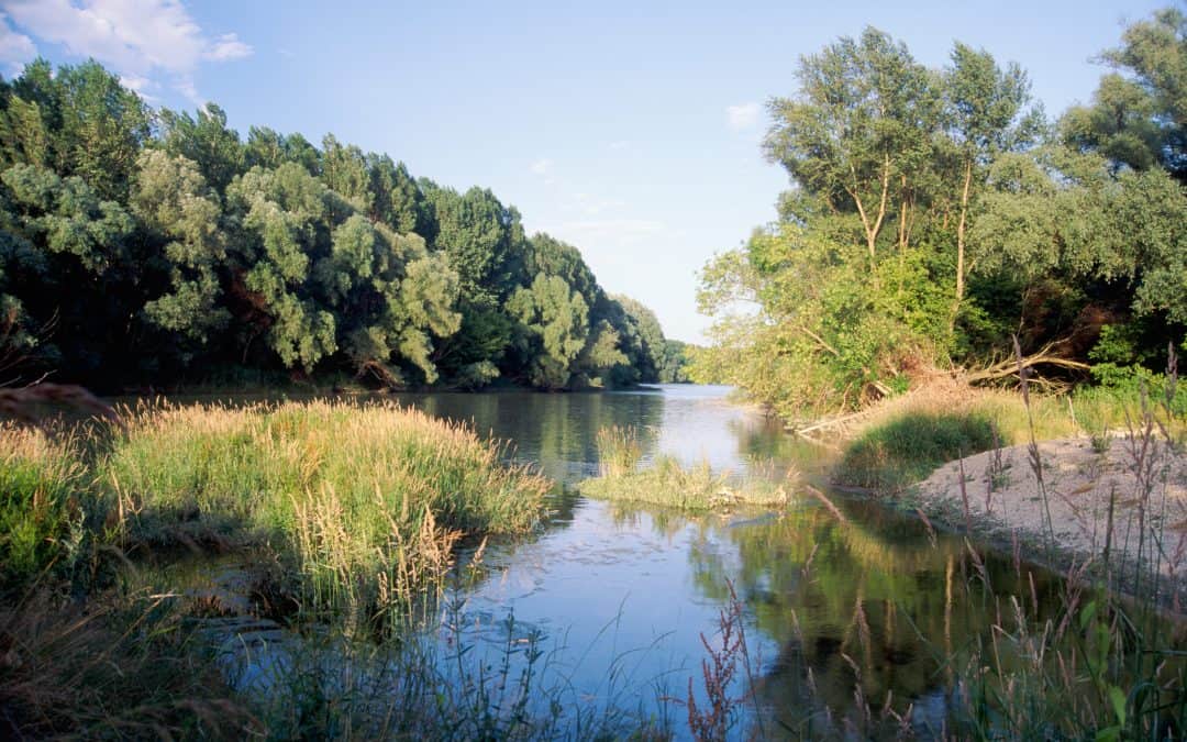 3 Gründe, warum es gut ist, dass der Lobau-Tunnel nicht gebaut wird