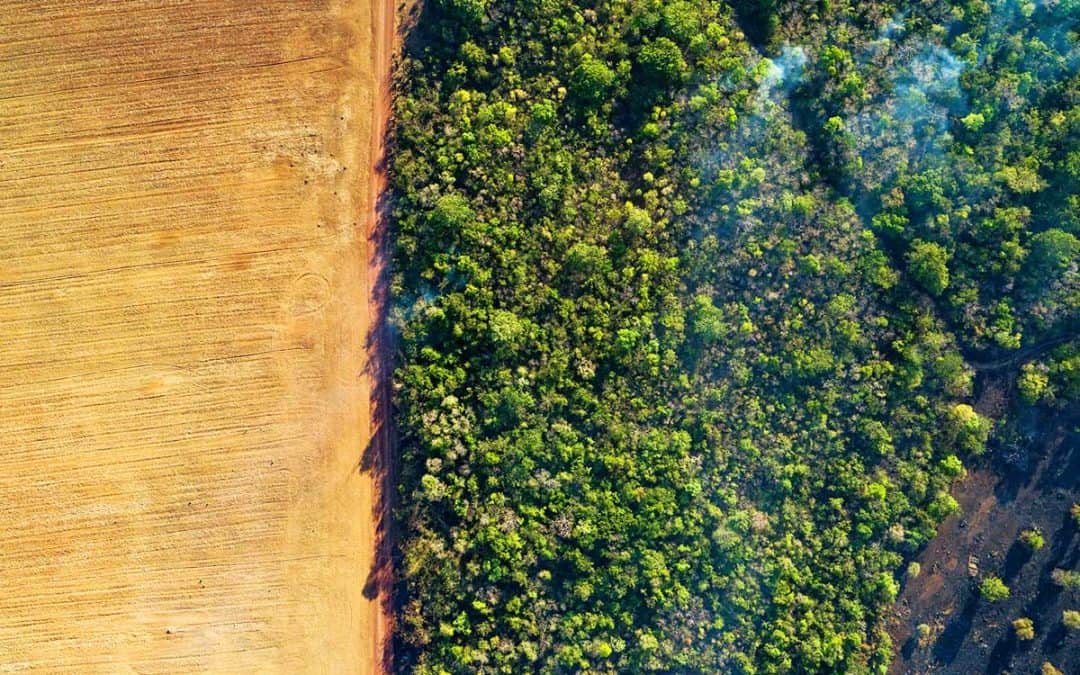 Ernährungswende: Für Klima und Natur