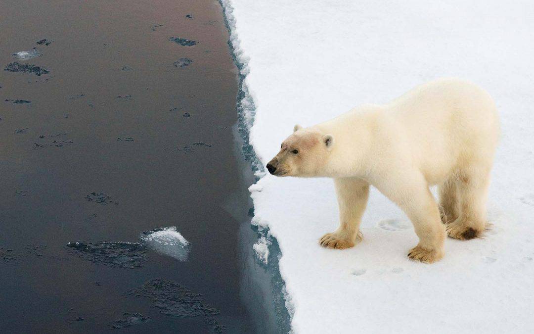 Folgen der Klimakrise: 1,5 Grad versus 2 Grad