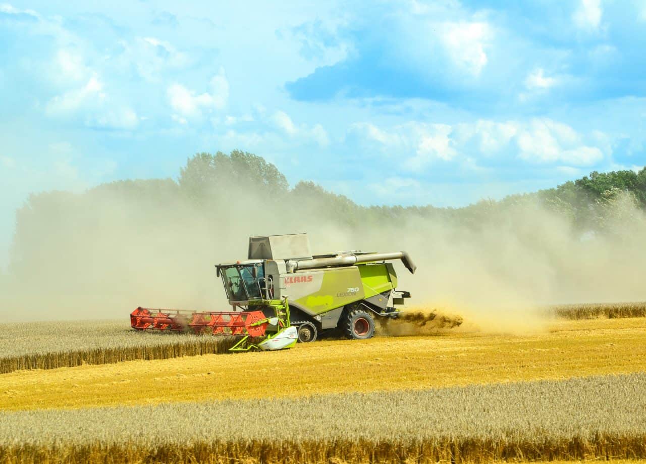 Welternährungstag: WWF Fordert Ernährungswende Gegen Artensterben Und ...