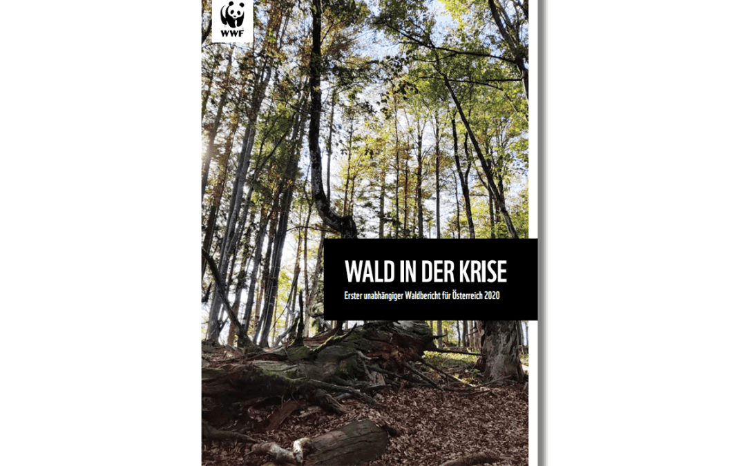 Wald in der Krise – WWF Waldbericht für Österreich