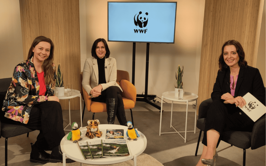 WWF Onlineveranstaltung