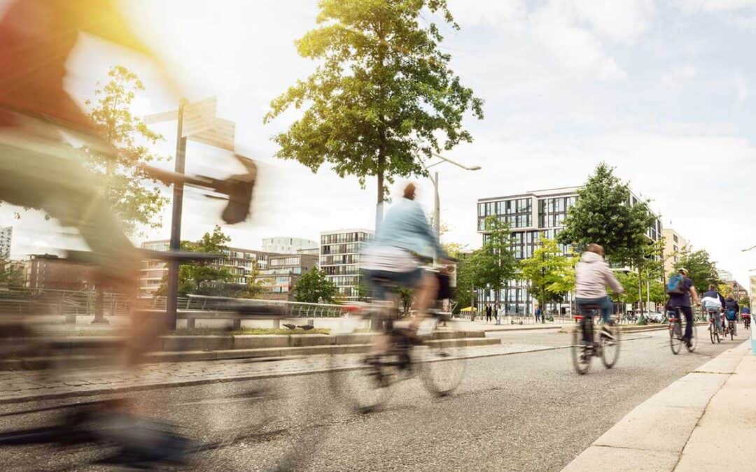 Mutter Erde Studie: Drei Wege zur Klimaneutralität in Österreich