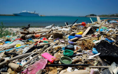 WWF schlägt am Tag der Meere Alarm: “So viel Plastik kann kein Ozean schlucken”