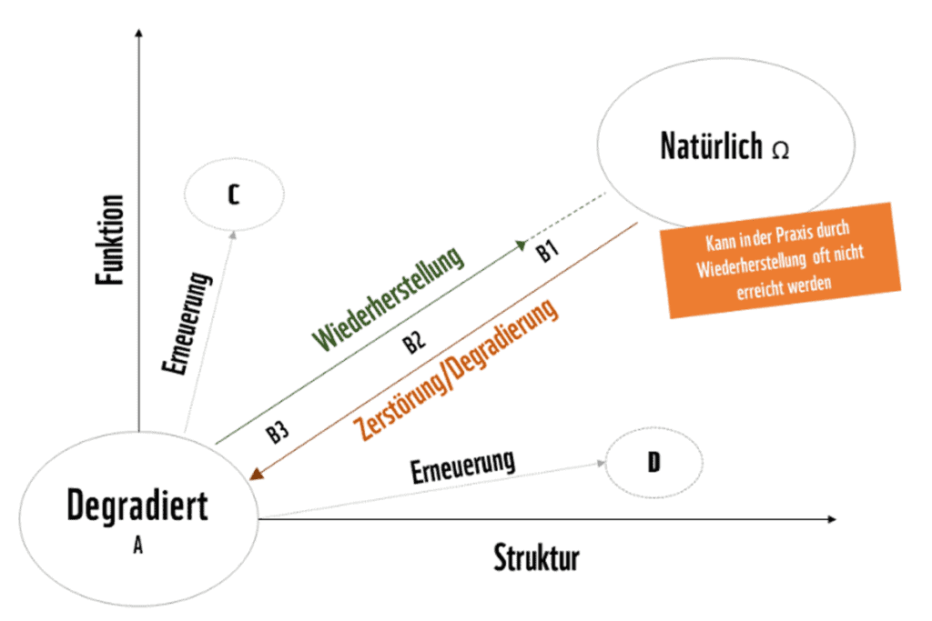 Grafik Degradierung und Wiederherstellung