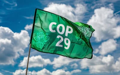 Was wir von der Klimakonferenz COP 29 erwarten