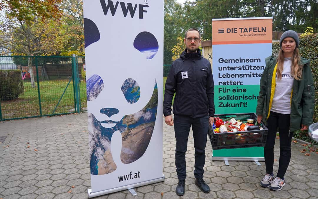 WWF und DIE TAFELN fordern Maßnahmenpaket gegen Lebensmittel-Verschwendung