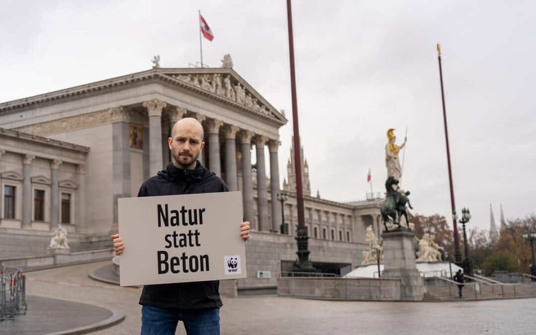 Weltbodentag: WWF fordert “Bodenschutz-Vertrag” von künftiger Bundesregierung